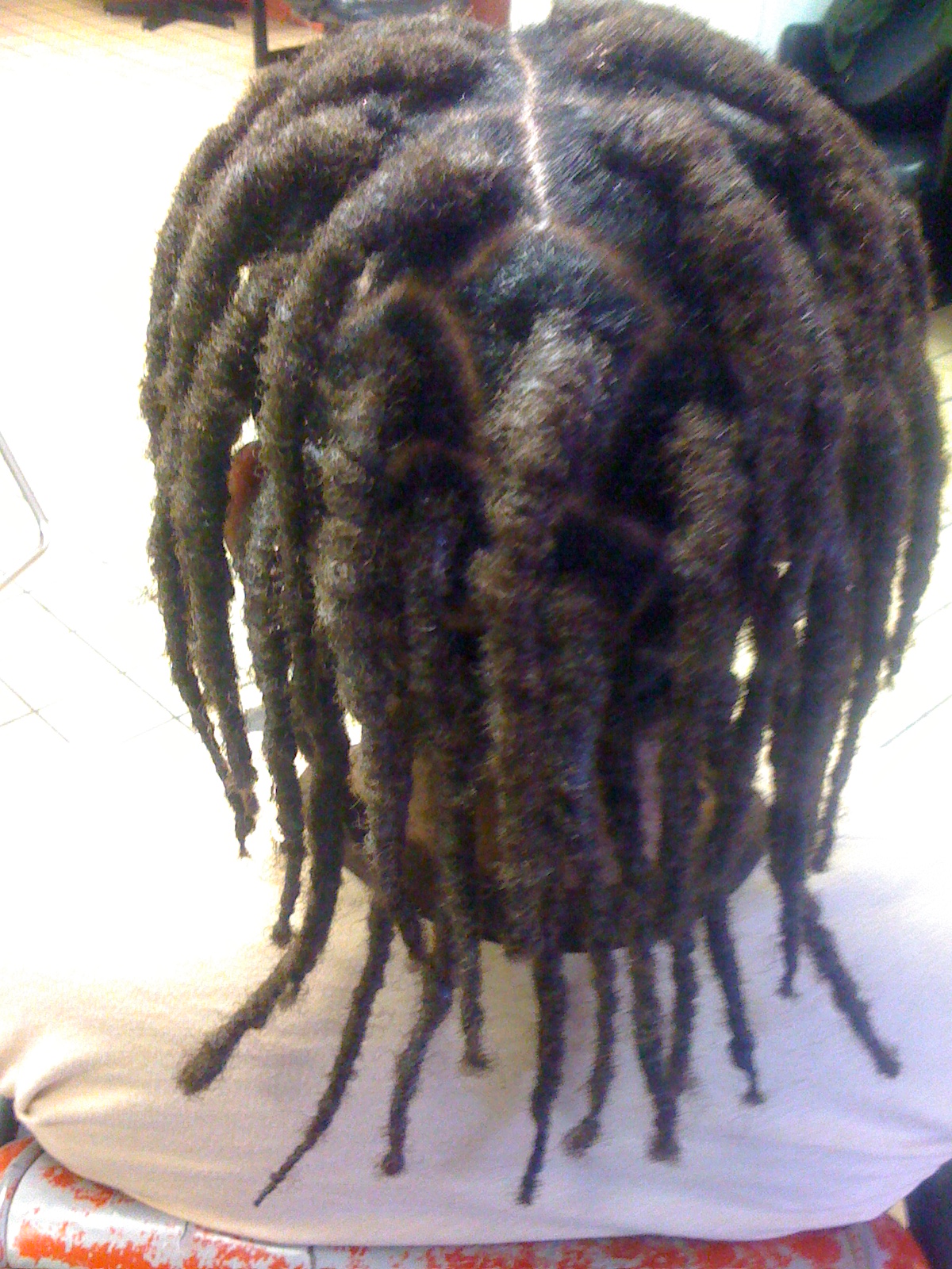 DREADLOCKS1/2.JPG