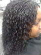 MICROS1/A.JPG